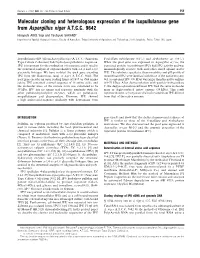 Molecular Cloning and Heterologous Expression of the Isopullulanase Gene from Aspergillus Niger A.T.C.C