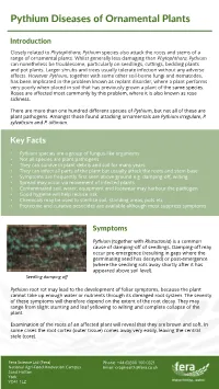 Pythium Diseases of Ornamental Plants