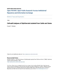 Cell-Wall Analyses of Diphtheroids Isolated from Cattle and Swine