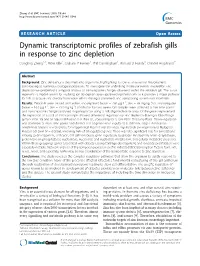 Dynamic Transcriptomic Profiles of Zebrafish Gills in Response to Zinc