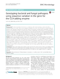 Genotyping Bacterial and Fungal Pathogens Using Sequence Variation in the Gene for the CCA-Adding Enzyme Paul Franz, Heike Betat and Mario Mörl*