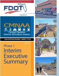 Interim Executive Summary Interim Executive
