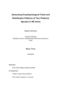 Assessing Ecophysiological Traits and Distribution Patterns of Two Podarcis Species in NE Iberia