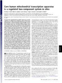 Core Human Mitochondrial Transcription Apparatus Is a Regulated Two-Component System in Vitro
