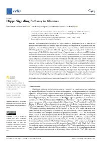 Hippo Signaling Pathway in Gliomas