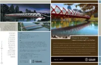 Peace Bridge Is Timeline