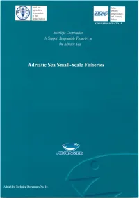Web Td 15.Pdf