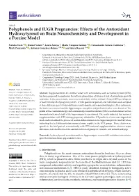 Polyphenols and IUGR Pregnancies: Effects of the Antioxidant Hydroxytyrosol on Brain Neurochemistry and Development in a Porcine Model