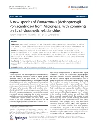 (Actinopterygii: Pomacentridae) from Micronesia, with Comments on Its Phylogenetic Relationships Shang-Yin Vanson Liu1,2*†, Hsuan-Ching Hans Ho3† and Chang-Feng Dai1