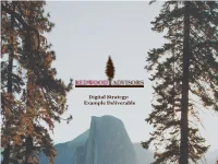 Digital Strategy: Example Deliverable