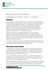 What's Going on in Your Brain?