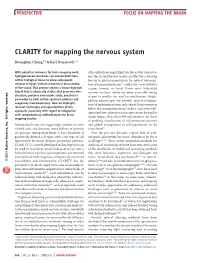 Clarity for Mapping the Nervous System