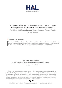 Is There a Role for Glutaredoxins and Bolas in the Perception of The