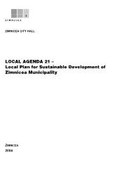 Local Plan for Sustainable Development of Zimnicea Municipality