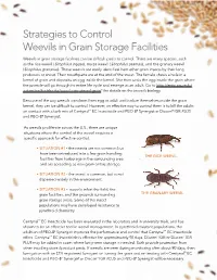 Strategies to Control Weevils in Grain Storage Facilities