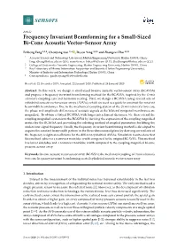 Frequency Invariant Beamforming for a Small-Sized Bi-Cone Acoustic Vector–Sensor Array