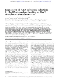 Regulation of ATR Substrate Selection by Rad17-Dependent Loading of Rad9 Complexes Onto Chromatin