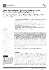 Se2 Nanoparticles for Screen Printing Application