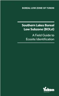 Southern Lakes Boreal Low Subzone (Bolsl) a Field Guide to Ecosite Identification