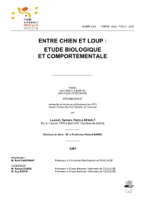 Entre Chien Et Loup