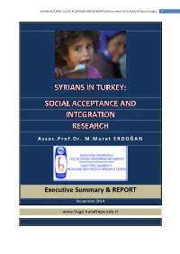 Executive Summary & REPORT