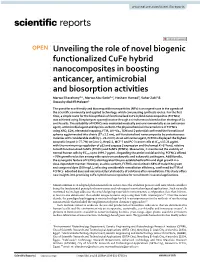 Unveiling the Role of Novel Biogenic Functionalized Cufe Hybrid