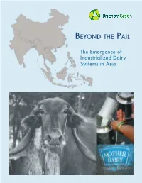 Beyond the Pail