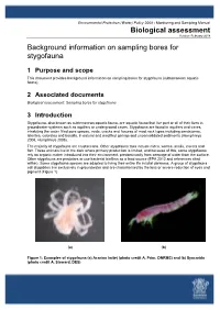 Background Information on Sampling Bores for Stygofauna