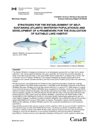 Strategy for the Establishment of Self-Sustaining Atlantic Whitefish Population(S) and Development of a Framework for the Evaluation of Suitable Lake Habitat