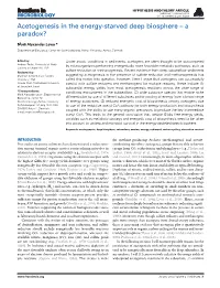 Acetogenesis in the Energy-Starved Deep Biosphere – a Paradox?