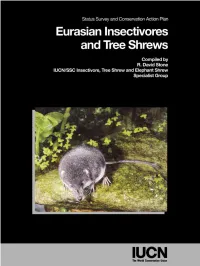 List of Threatened Insectivores and Tree Shrews (Following IUCN, 1995)