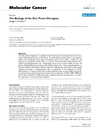 View Open Access the Biology of the Ets1 Proto-Oncogene Jürgen Dittmer*