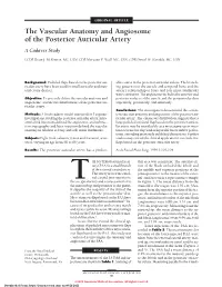 A Cadaver Study
