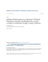 Additional Information on a Nonnative Whiptail Population (Aspidoscelis Flagellicauda/Sonorae Complex) in Suburban Orange County, California Richard A