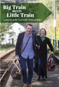 Big Train Little Train Guidebook
