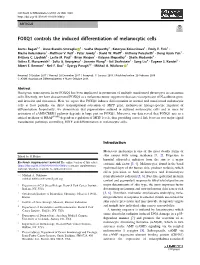 FOXQ1 Controls the Induced Differentiation of Melanocytic Cells