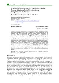 Structure Prediction of Outer Membrane Protease Protein of Salmonella Typhimurium Using Computational Techniques