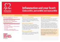 Inflammation and Your Heart: Endocarditis, Pericarditis and Myocarditis