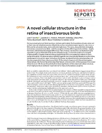 A Novel Cellular Structure in the Retina of Insectivorous Birds Luke P