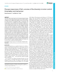 A Review of the Diversity in Motor Control, Kinematics and Behaviour Paolo Domenici1,* and Melina E