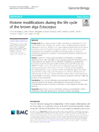 Histone Modifications During the Life Cycle of the Brown Alga Ectocarpus