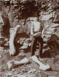More Than a Fossil-Hunter: the Life and Pursuits of Charles W. Beehler