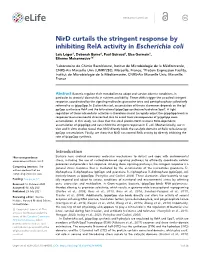 Nird Curtails the Stringent Response by Inhibiting Rela Activity In