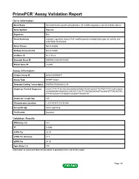 Primepcr™Assay Validation Report