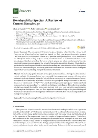 Toxorhynchites Species: a Review of Current Knowledge