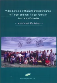 Video Sensing of the Size and Abundance of Target and Non-Target Fauna in Australian Fisheries