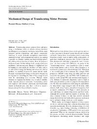Mechanical Design of Translocating Motor Proteins