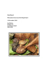 Placostylus Bivaricosus Breeding Project Final Report