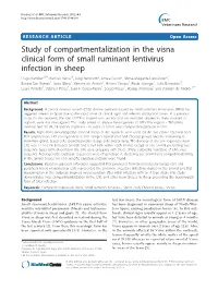 Study of Compartmentalization in the Visna Clinical Form of Small