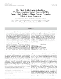 Nitro-L-Arginine Methyl Ester (L-NAME) Causes Limb Defects in Mouse Fetuses: Protective Effect of Acute Hyperoxia